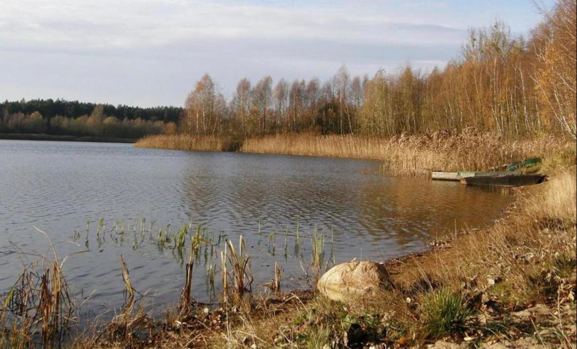 Noclegi Nad Jeziorem W Puszczy Zielonka Kaminsko Exterior foto